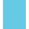 Pacon 18-Point Heavy Coated Poster Board, 22" by 28", Light