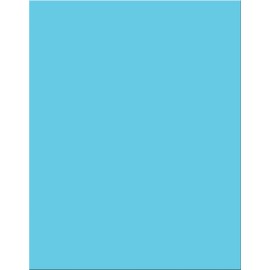 Pacon 18-Point Heavy Coated Poster Board, 22" by 28", Light Blue, 25-Sheets (5329-1)