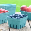 Kitchens Green Molded Pulp Fiber Berry/Produce Vented 1 Pint Basket