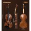 Vangoa 4/4 Solid Wood Acoustic Violin Full Size Fiddle Set