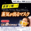 Megurizum Steam Hot Moisturizing Mask, Lavender Mint Scent, Pack of