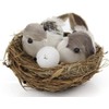 GOUDOGEDC 2 Set Simulation Bird Nest with Bird and Eggs