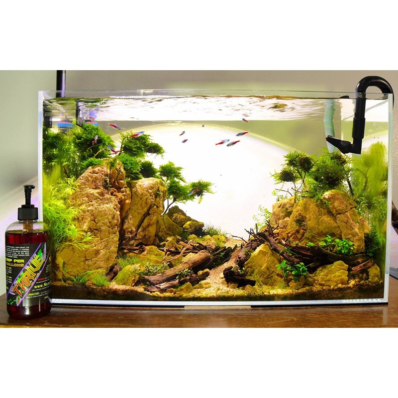 NilocG Aquatics EXTREMELY EASY USE LIQUID FERTILIZER Thrive All In