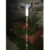 Elegant Designer Cane LED lighted walking cane acrylic lucite elegant