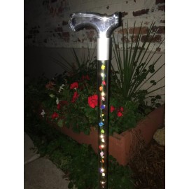 Elegant Designer Cane LED lighted walking cane acrylic lucite elegant designer changeable roses