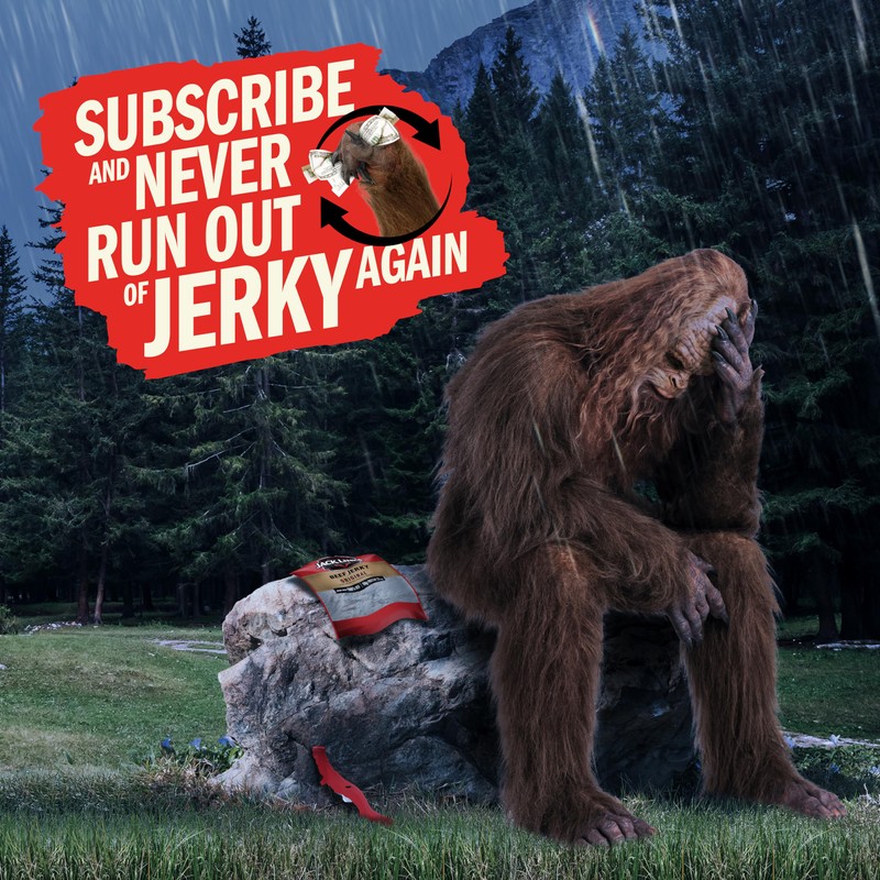 Jack Link's Beef Jerky Variety Pack Gift Basket - 15