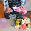 Rainbow Chemical Cut Flower Life-Extending Agent, 16.2 fl oz (480