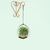 QRZLP Plant Hanger for Pots, Hanging Planter for Indoor Plant