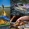 M MAXIMUMCATCH Maxcatch 6 Pack Fly Leader Line Fly Line
