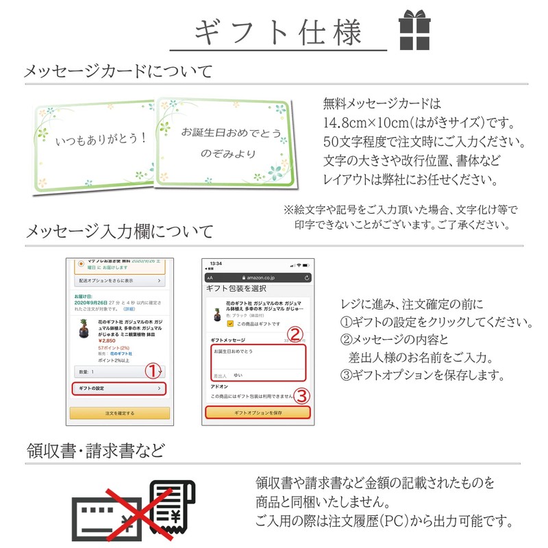 Ficus Microcarpa Ceramic Potted Plant (White)