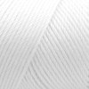 Bulk Buy: Caron Simply Soft Yarn Solids (2-Pack) (White)