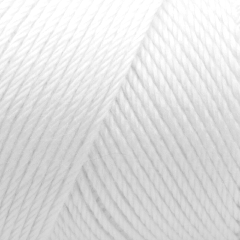 Bulk Buy: Caron Simply Soft Yarn Solids (2-Pack) (White)