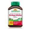 Jamieson Ginkgo Biloba 4,000 mg - Gluten-Free, 90 Count (Pack