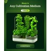 FoxFarm Cultivation Nation pH Down - Liquid Nutrient Solution Adjuster