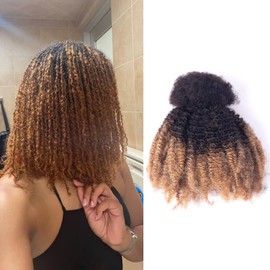 Afro Kinky Bulk Human Hair, 4C, 50g/pack, Braiding Hair for Mini Twists and Sister Locs (#1b/27 18inch)