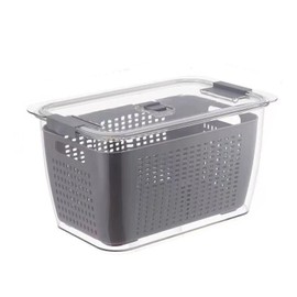 Draining Basket 2 Layer Japanese Style Kitchen Refrigerator Vegetable Storage Box with FilterGray L 4.5L