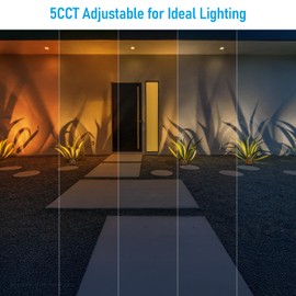 LEONLITE 5CCT LED Rock Lights Outdoor, 5W Low Voltage Landscape Spot Light for Garden, Yard, Decorative Stone Light, 12-24V AC/DC, CRI90, 200lm, IP65 Waterproof, Triangle, Yellow, Pack of 2