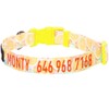 Blueberry Pet Personalized Dog Collar, Lemon, Medium, Adjustable Customized ID
