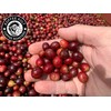 Koffee Kult Colombian Medium Roast Coffee Ground Beans 100% Single