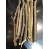 Tree peter honey fig tree cutting for sale