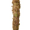 Moss Pole Coconut Stick DIY Modeling Plant Climbing Pole Climbing