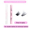 Eyelash Glue for Cluster Lashes Bond and Seal Lash Glue