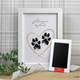 Framed Pet Safe Non-toxic Paw Print Ink Pad Kit - Capture Precious Memories of Your Beloved Pet's Paw Prints, Mess-Free & Easy-to-Use with White Wooden Frame - Ideal for First Prints or Keepsakes