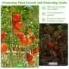 24+240P Tomato Roller Hooks with 50FT Twines and Tomato Trellis