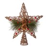 Kurt S. Adler Kurt Adler 11-Inch Natural Star with Pinecones