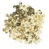 2000Pcs Belly Dance Coins Exquisite Sequins Pendants Clothing Accessories for