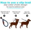 Mycicy Slip Lead Dog Leash, 1/4" x 5ft No Pull