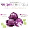 오가닉가든 자색 양배추 브로콜리진액 30포