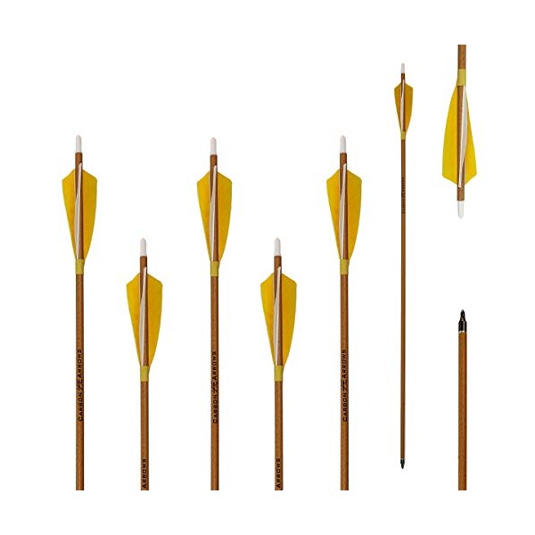 Letszhu Archery Carbon Arrows 500 Spine with Helical Real Feathers