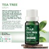 Farmasi Tea Tree Suero serum Dr C Tuna 10ml