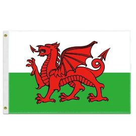 12×18 inch Welsh Flag, 30×45 CM Small 100D Welsh Nautical Outdoor Banner,Tiny Doube Side Printing Decor For Patio Garden With Brass Gromment