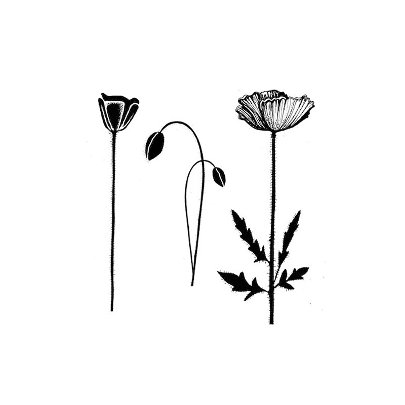 Lavinia Stamps - Group Poppies