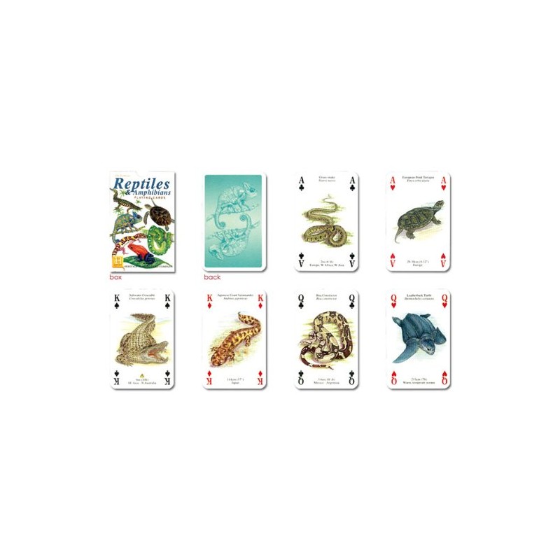 ニチユー(Nichiyu) トランプ【レプタイルズ＆アンフィビン Reptiles & Amphibians Playing Cards】個性的な爬虫類がカードに！