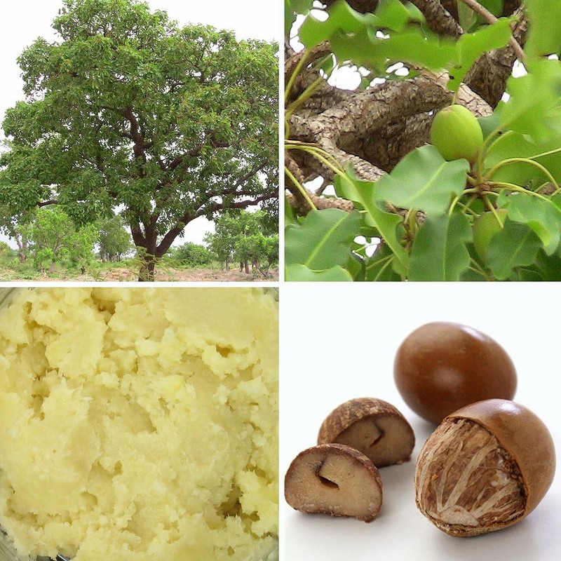Unrefined Shea Butter 50G Cosmetic Material