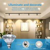 PAR38 Halogen Flood Light Bulbs 2 Pcs, 80W Equivalent, 120V,