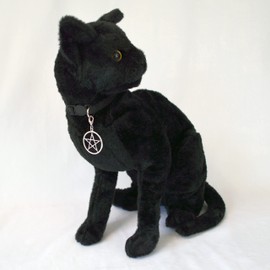 Black Cat Collar with Wiccan Pagan Pentacle Silver Finish On Safety Breakaway Collar Adjustable Neck Size 8 to 12 Inches