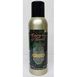 Smoke Odor Exterminator Large Spray 7 oz Can (Evergreen & Berries)