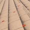 Grip-Rite 2 in. Roofing Vinyl Steel Nail Cap Round 1
