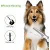 LovinPet 6PCS Pet Dog Grooming Scissors Set Straight Curved Thinning