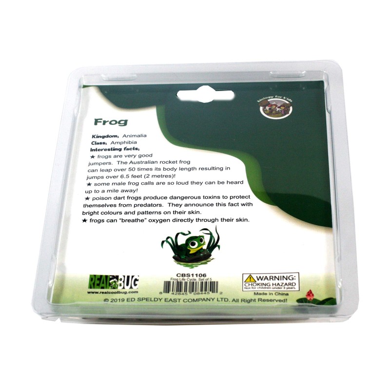 REAL BUG Frog Life Cycle, Set of 5