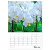 Orchids - Tropical Beauties (Wall Calendar 2025 DIN A4 High),