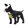 Canine Friendly - Arnés para Chaleco con ventilación, tamaño Grande,