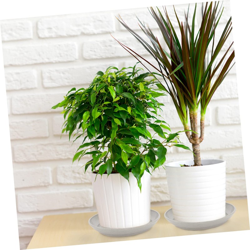 BESPORTBLE Flower Pots Pot Planter Shelf Plastic Flowerpot Tray Flowerpot