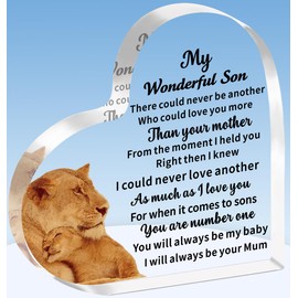 TTOVEN Son Gifts Son Plaque Son Birthday Gifts Graduation Gifts for Son Father's Day Gifts for Son My Wonderful Son Plaque