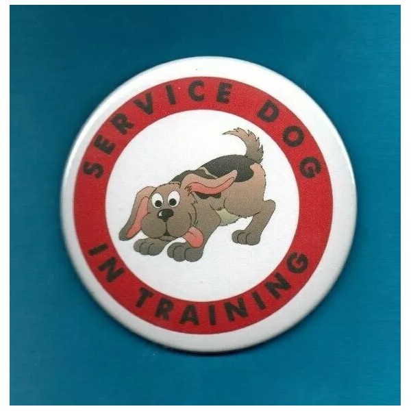 SERVICE DOG IN TRAINING - service dog 3" vest button