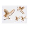 4 x 'Flying Barn Owl' Temporary Tattoos - Water Resistant,